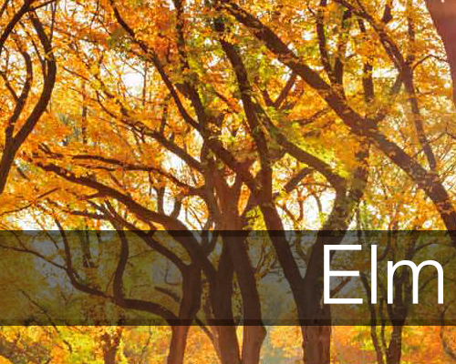 elm_self_catering_holiday_cottage