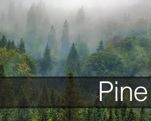 pine_self_catering_holiday_cottage